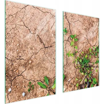 Obraz Krájecí deska TMK ArtDeko sklo 2 ks