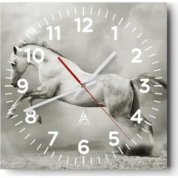 Hodiny Nástěnné hodiny do obýváku 40x40 Zvířata Bezhluczne Skleněné hodiny Tiché