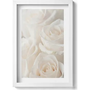 Obraz Dekorativní nástěnný obraz v rámu s grafikou Bílé jemné různé 20x30 cm