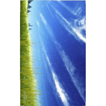 Obraz Plakát anime 42 x 67,2 cm