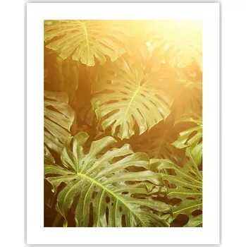 Obraz Obraz plakát na zeď bez rámu 40x50 monstera plakáty do obýváku ložnice