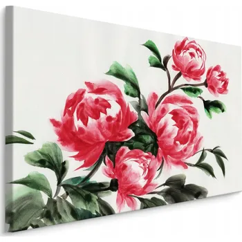 Obraz Obraz na plátně PIVOŇKY malované akvarelem 40x30