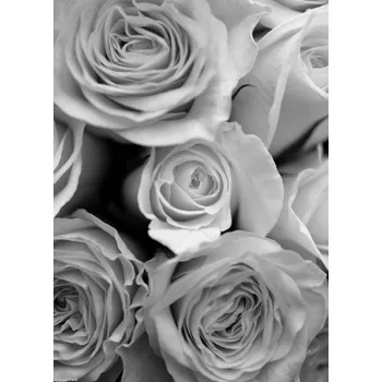 Obraz Plakát Detail kytice růží bez rámu 20,5 x 28,4 cm