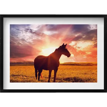 Obraz Dekorativní nástěnný obraz do pokoje Kůň na poli při západu slunce 70x50 cm