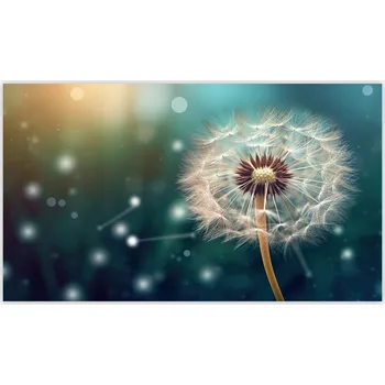 Kuchyňské prkénko Skleněná Ochranná Deska a Krájecí Prkénko | Indukce, Sporák ds-0321