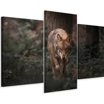Obraz Obraz Triptych VLK Les Příroda Krajina 3D 60x40