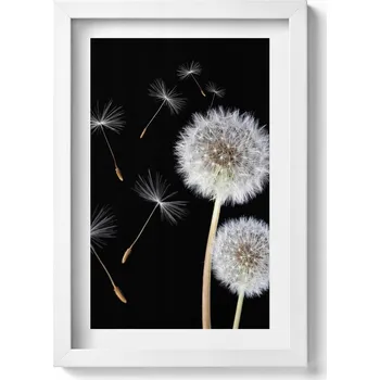 Obraz Dekorativní nástěnný obraz v bílém rámu do pokoje Dva pampelišky 20x30 cm