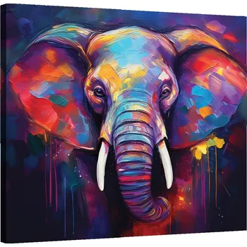 Obraz OBRAZ DO LOŽNICE NA ZEĎ SLON ZVÍŘATA POP ART 40x40