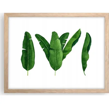 Obraz Obraz plakát v rámu světlý dub do obýváku 40x30 banánovník foto na zeď