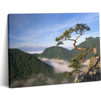 Obraz Fotoobraz na plátně do posilovny Krásná Sokolica Wierch v Pieninách 80x60 cm