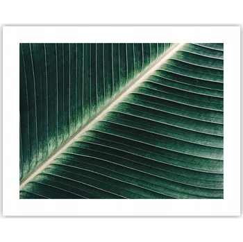 Obraz Obraz plakát na zeď bez rámu 50x40 abstrakce foto obývací pokoj ložnice