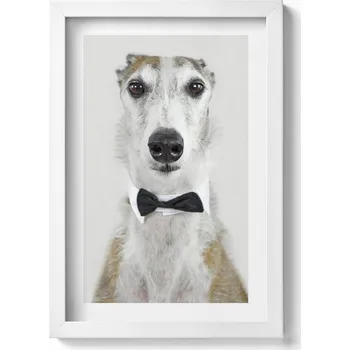 Obraz Ozdobný nástěnný obraz v rámu s grafikou loft Portrét psa s motýlkem 20x30 cm