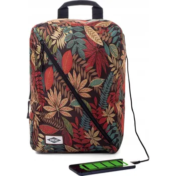 Městský batoh BATOH DO LETADLA příruční zavazadlo 40x30x20 RGL vícebarevná