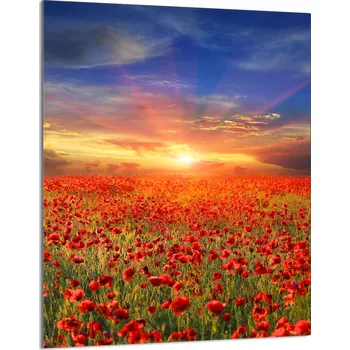 Kuchyňské prkénko Krájecí deska TMK ArtDeko sklo 1 ks