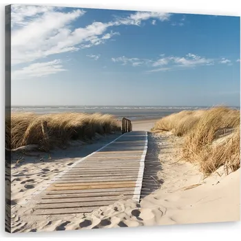 Obraz Obraz na plátně, Pláž Severní moře Duny 30x30