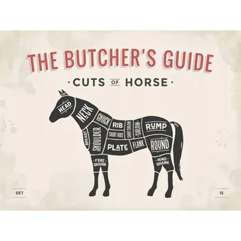 Obraz Cedule The Butchers Guide - Cuts of Horse