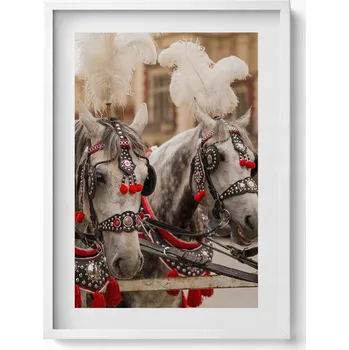 Obraz Dekorativní nástěnný obraz do obýváku kuchyně Krásní koně v Krakově 50x70 cm