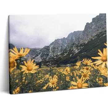 Obraz Plátěný obraz Canvas Premium do obýváku Louka Květiny v horách Tatry 80x60