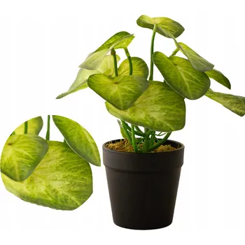 umělá květina UMĚLÁ ROSTLINA KVĚTINA ALOKÁZIE 24 cm jako živá zelená do obýváku