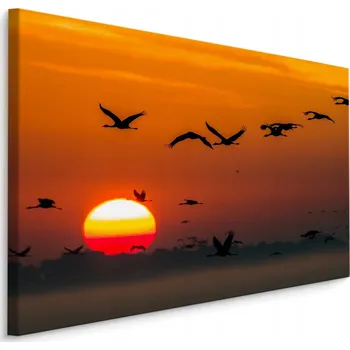 Obraz Obraz ptáci jeřábi západ slunce do obýváku 30x20
