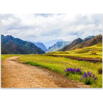 Kuchyňské prkénko Skleněná Ochranná Deska a Krájecí Prkénko | Indukce, Sporák ds-0498