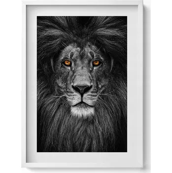 Obraz Obraz v rámu na zeď do obýváku Černobílá lví hlava 50x70 cm