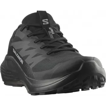 Pánská běžecká obuv Salomon Alphaglide GTX M L47802100 - black/asphalt black 42