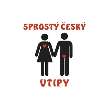 Sprostý český vtipy - Různí autoři - audiokniha