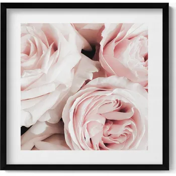 Obraz Obraz v černém rámu do obýváku Bledě růžové květy jemné růže 50x50 cm