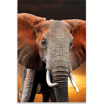 Kuchyňské prkénko Skleněná Ochranná Deska a Krájecí Prkénko | Indukce, Sporák ds-0544