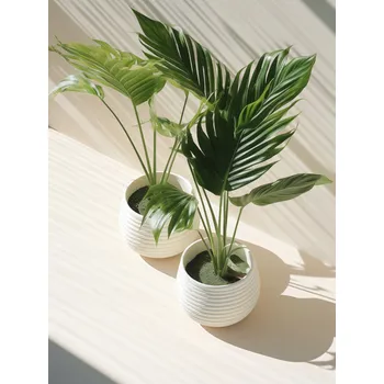 Plakát Plakát Obrysy květináčů bez rámu 30 x 40 cm