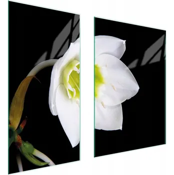 Kuchyňské prkénko Krájecí deska TMK ArtDeko sklo 2 ks