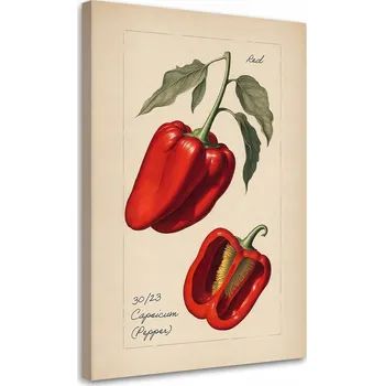 Obraz OBRAZ DO KUCHYNĚ Zelenina Vintage Paprika NA PLÁTNĚ 80x120