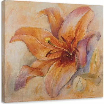 Obraz OBRAZ NA PLÁTNĚ Leknín Květiny Oranžová 50x50