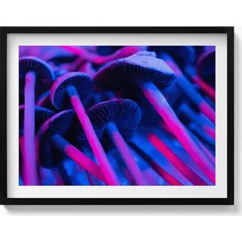 Obraz Elegantní obraz v černém rámu Magické barevné houby 80x60 cm