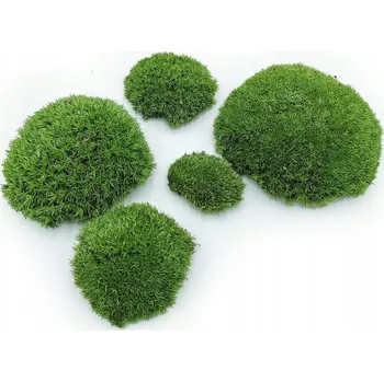 Obraz Polštářový mech stabilizovaný 100g středně zelený