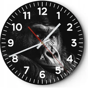 Hodiny Kuchyňské nástěnné hodiny 30x30 Opice Moderní skleněné hodiny do obýváku Tiché