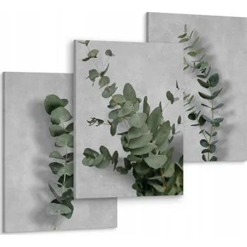 Obraz Obrazy do obýváku Listy EUKALYPTU větvičky 90x40