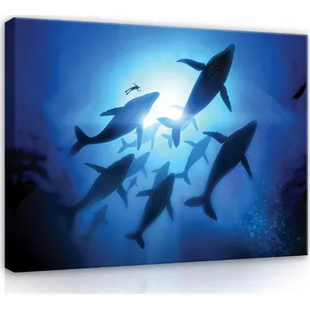 Obraz OBRAZ NA PLÁTNĚ 80x60 VELRYBA VE VODĚ