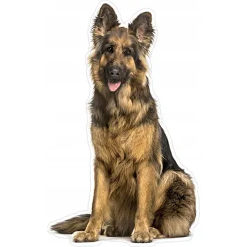 Samolepící dekorace Samolepka na stěnu pes VLČÁK 53x85 měkká, teplá a silná 4mm