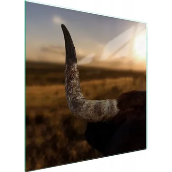 Kuchyňské prkénko Krájecí deska TMK ArtDeko sklo 1 ks