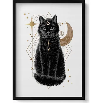 Obraz Závěsný obraz rámeček černé barvy Magická černá kočka a vesmír 50x70 cm