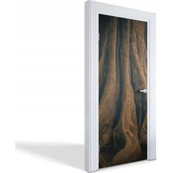 Fototapeta Ochranná fólie na dveře s laminací - Staré kořeny stromu, 85x205 cm