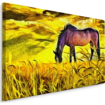 Obraz Obraz do obýváku kůň Pole Natura příroda 40x30