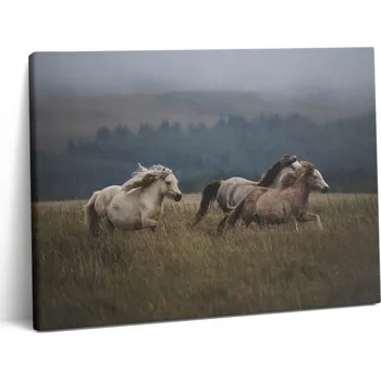Obraz Obraz Na Plátně obraz na plátně do tělocvičny Cválající Koně kopce 80x60 cm