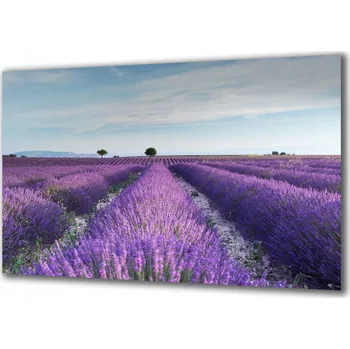 Obraz Obraz na skle Příroda 32089487 100x50