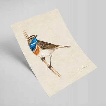 Obraz Plakát Cestovatelka bez rámu 21 x 30 cm