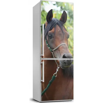 Fototapeta Samolepící nálepka na ledničku Portrét koně