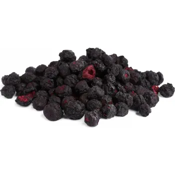 Sušené ovoce Borůvky lesní lyofilizované celé 40 g VIA NATURAE