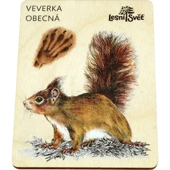 magnetka pro dítě Lesní svět Magnet velký - Veverka